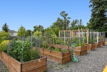 Garden at Woodrose Senior Affordable Apartments in Bellingham WA